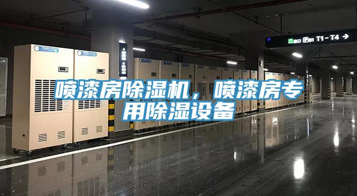 噴漆房除濕機(jī)，噴漆房專用除濕設(shè)備