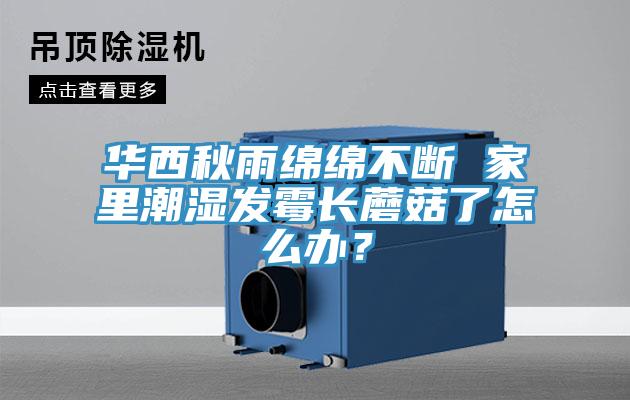 華西秋雨綿綿不斷 家里潮濕發(fā)霉長(zhǎng)蘑菇了怎么辦？