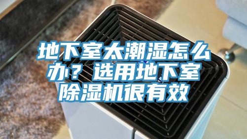 地下室太潮濕怎么辦？選用地下室除濕機(jī)很有效