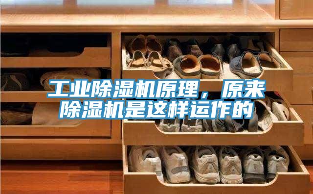 工業(yè)除濕機(jī)原理，原來(lái)除濕機(jī)是這樣運(yùn)作的