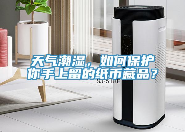 天氣潮濕，如何保護(hù)你手上留的紙幣藏品？