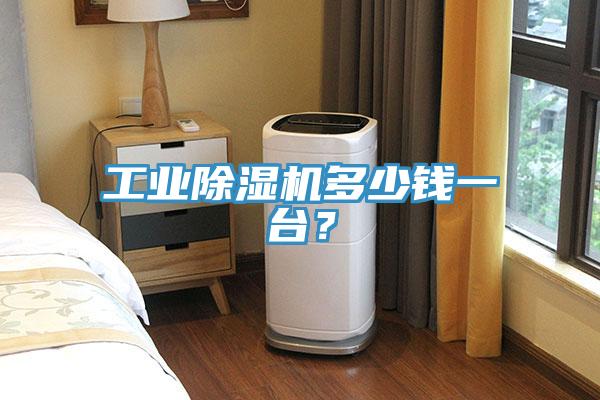 工業(yè)除濕機(jī)多少錢一臺？