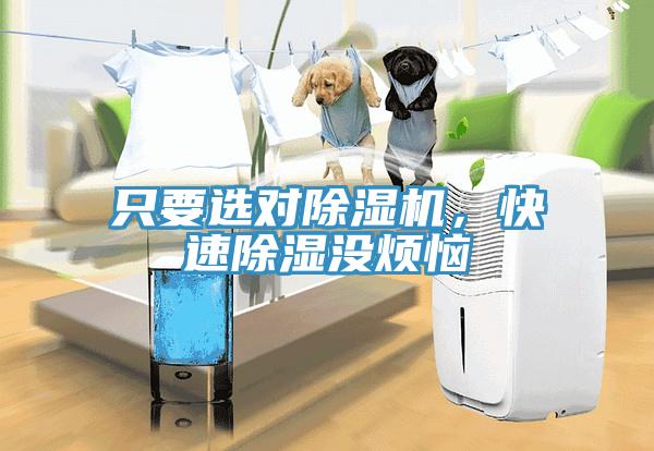 只要選對除濕機，快速除濕沒煩惱
