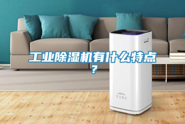 工業(yè)除濕機有什么特點？