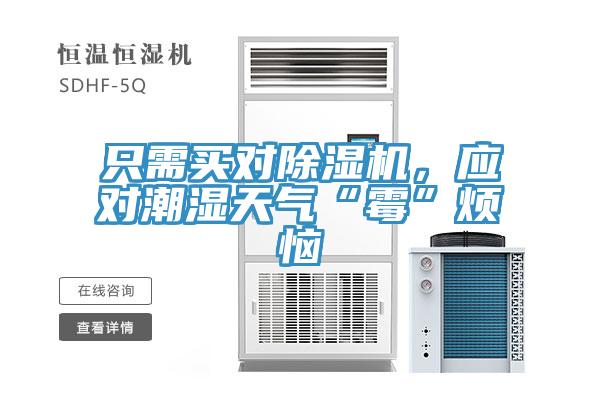 只需買對除濕機，應(yīng)對潮濕天氣“霉”煩惱