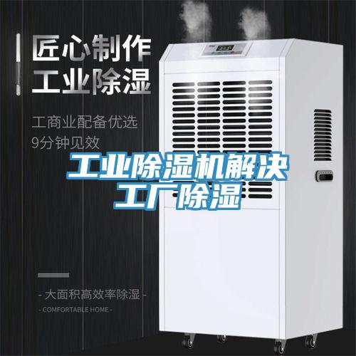 工業(yè)除濕機(jī)解決工廠(chǎng)除濕