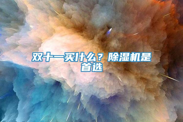 雙十一買什么？除濕機(jī)是首選