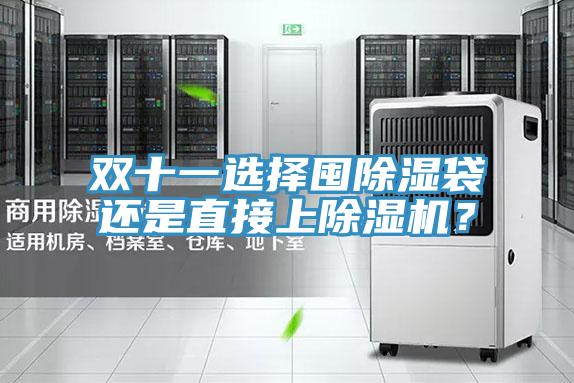 雙十一選擇囤除濕袋還是直接上除濕機(jī)？