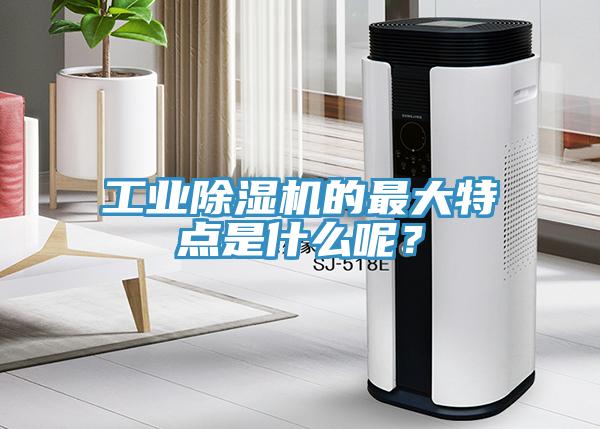 工業(yè)除濕機的最大特點是什么呢？
