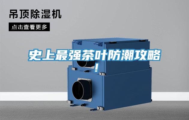 史上最強茶葉防潮攻略！