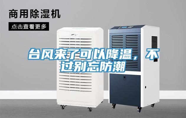 臺風來了可以降溫，不過別忘防潮