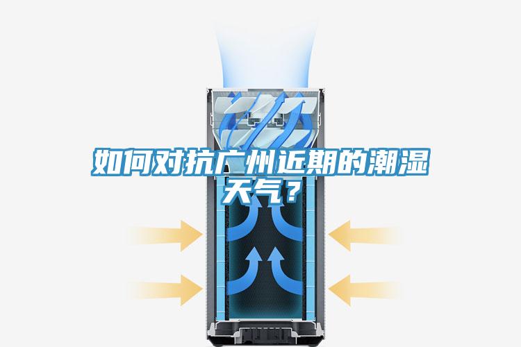 如何對(duì)抗廣州近期的潮濕天氣？