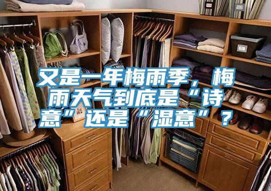 又是一年梅雨季，梅雨天氣到底是“詩(shī)意”還是“濕意”？