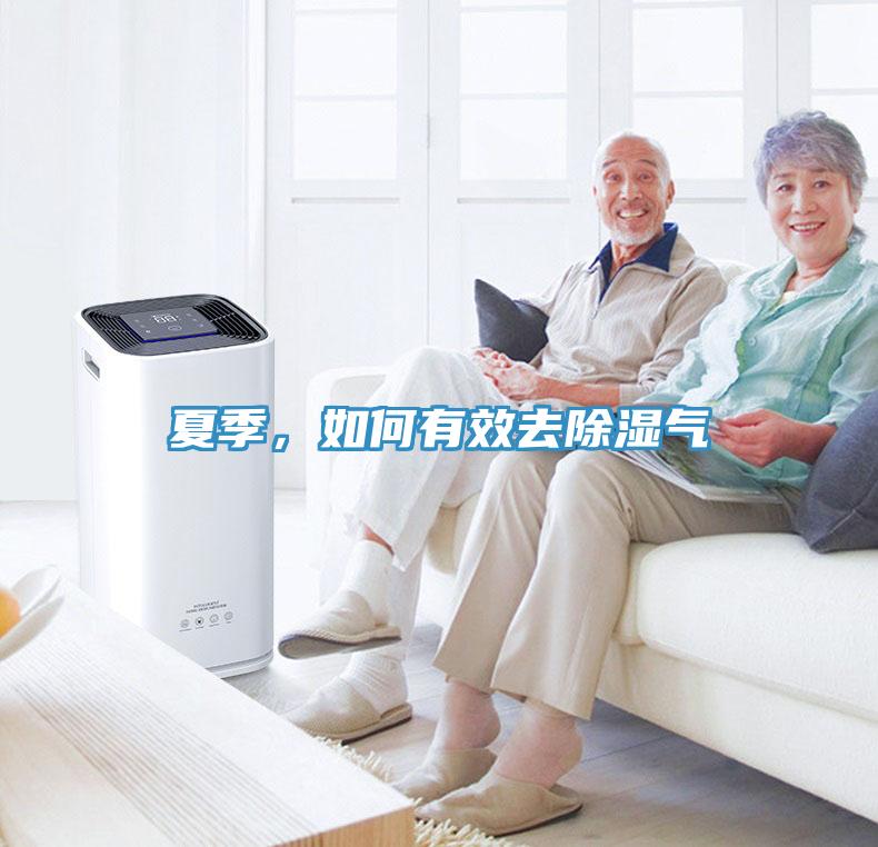 夏季，如何有效去除濕氣