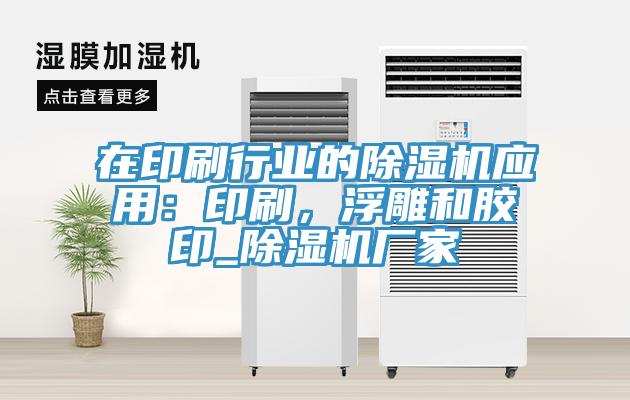 在印刷行業(yè)的除濕機應(yīng)用：印刷，浮雕和膠印_除濕機廠家