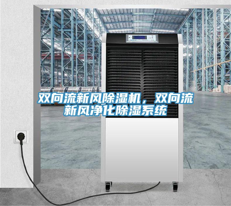 雙向流新風(fēng)除濕機，雙向流新風(fēng)凈化除濕系統(tǒng)