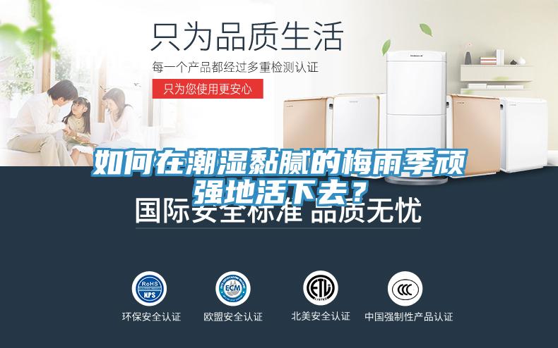 如何在潮濕黏膩的梅雨季頑強(qiáng)地活下去？