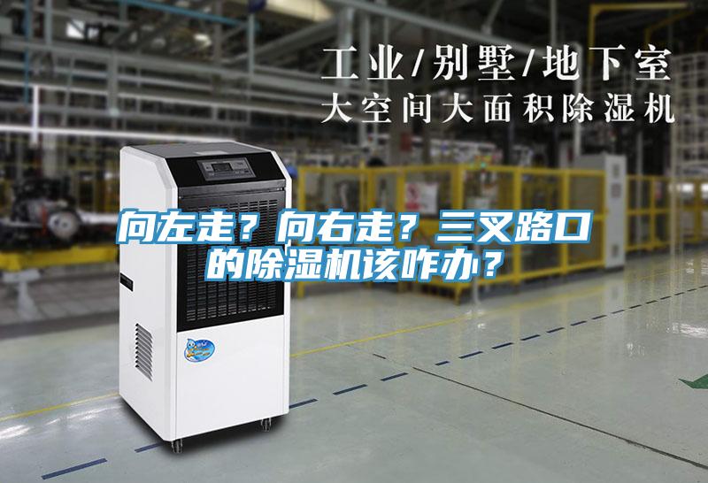 向左走？向右走？三叉路口的除濕機該咋辦？