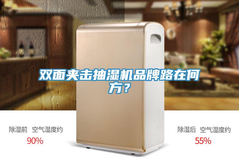 雙面夾擊抽濕機品牌路在何方？
