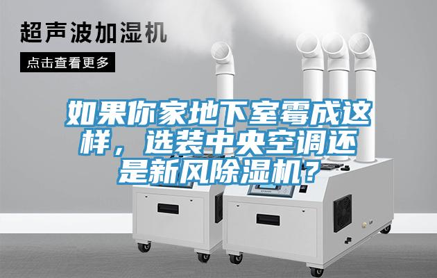 如果你家地下室霉成這樣，選裝中央空調(diào)還是新風(fēng)除濕機(jī)？