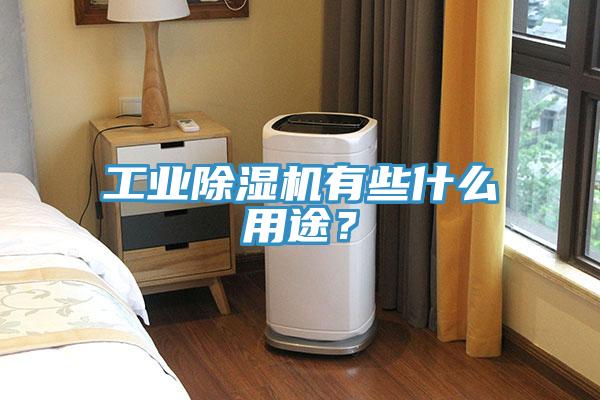 工業(yè)除濕機有些什么用途？