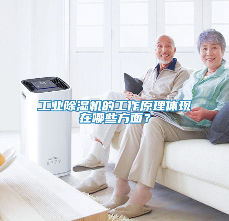 工業(yè)除濕機的工作原理體現(xiàn)在哪些方面？