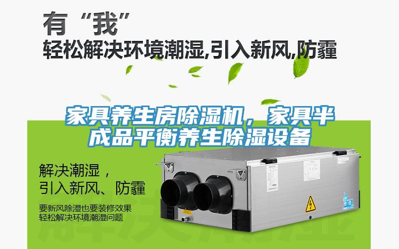 家具養(yǎng)生房除濕機(jī)，家具半成品平衡養(yǎng)生除濕設(shè)備