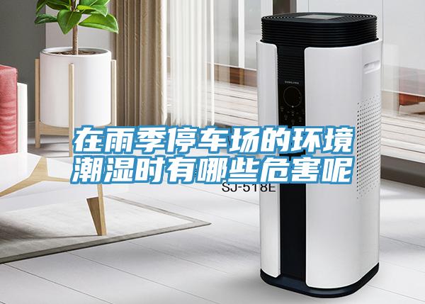 在雨季停車(chē)場(chǎng)的環(huán)境潮濕時(shí)有哪些危害呢