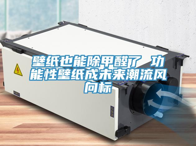 壁紙也能除甲醛了 功能性壁紙成未來(lái)潮流風(fēng)向標(biāo)
