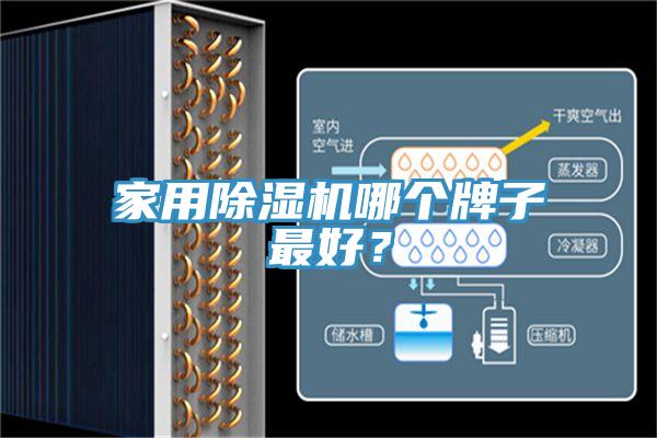 家用除濕機(jī)哪個(gè)牌子最好？