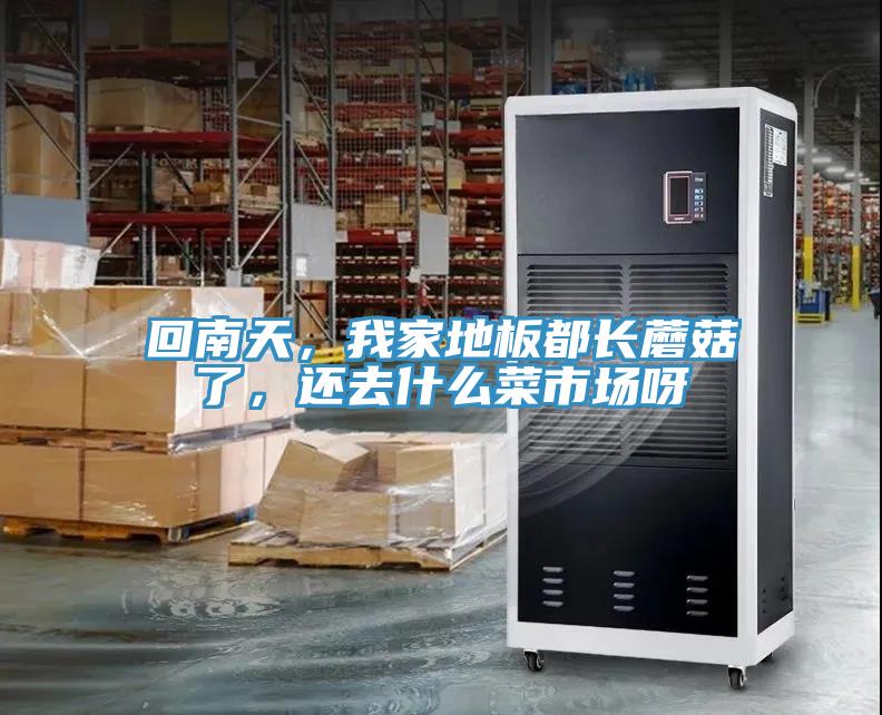 回南天，我家地板都長蘑菇了，還去什么菜市場呀