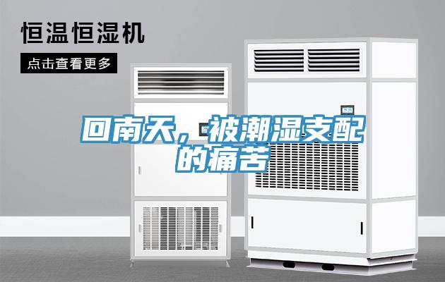 回南天，被潮濕支配的痛苦