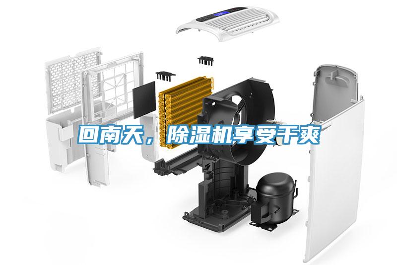 回南天，除濕機享受干爽