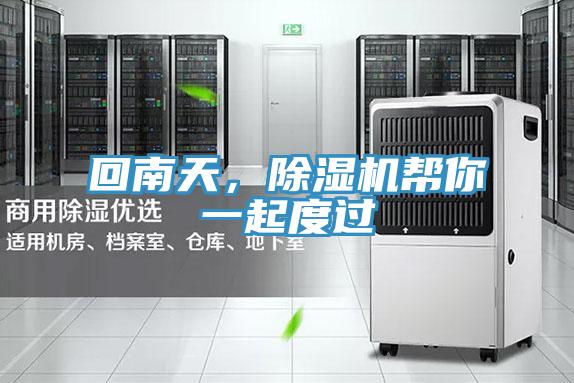 回南天，除濕機幫你一起度過