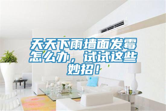 天天下雨墻面發(fā)霉怎么辦，試試這些妙招！