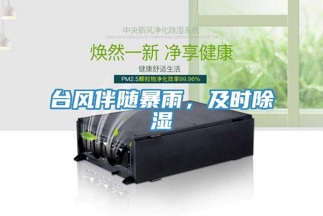 臺風伴隨暴雨，及時除濕