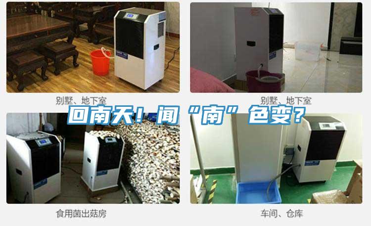 回南天！聞“南”色變？