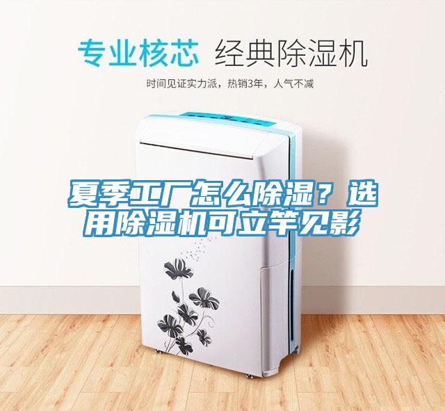 夏季工廠怎么除濕？選用除濕機(jī)可立竿見影