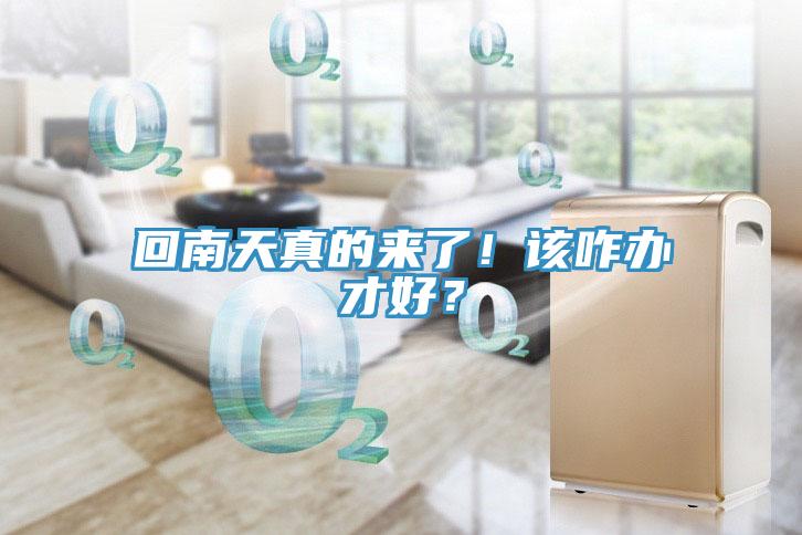 回南天真的來了！該咋辦才好？