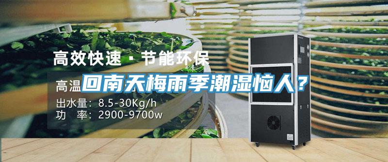 回南天梅雨季潮濕惱人？