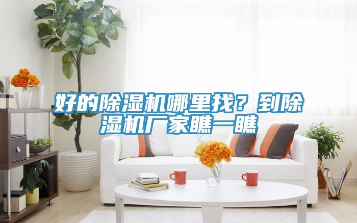 好的除濕機哪里找？到除濕機廠家瞧一瞧
