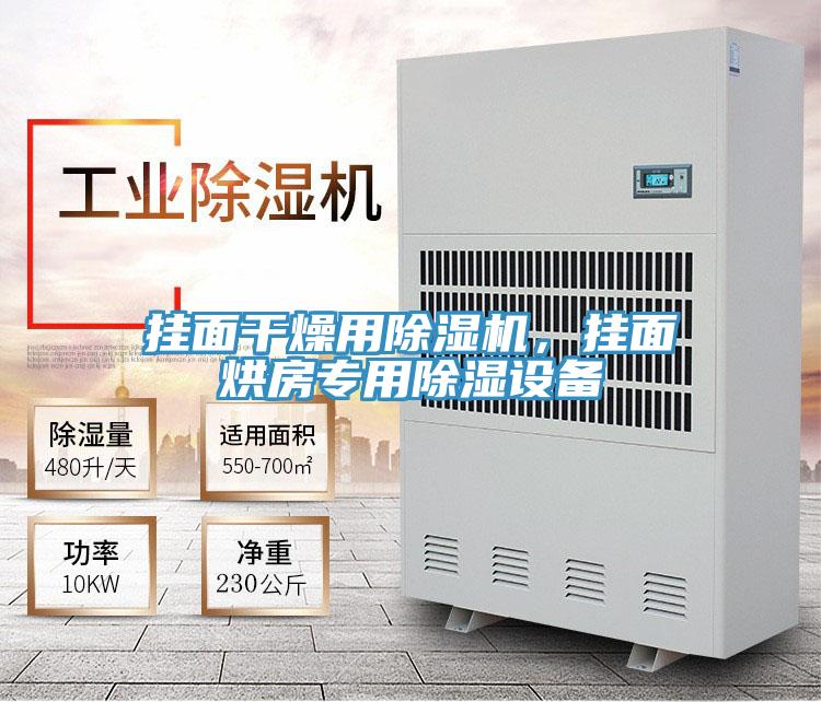 掛面干燥用除濕機(jī)，掛面烘房專用除濕設(shè)備