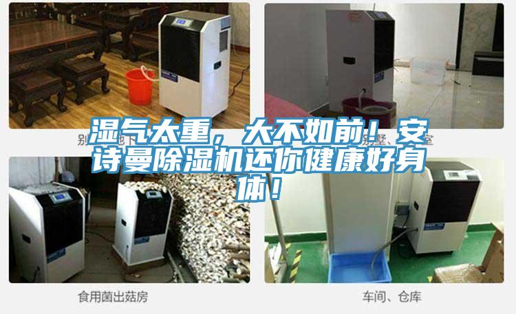 濕氣太重，大不如前！安詩曼除濕機還你健康好身體！