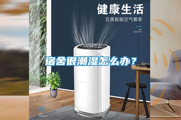宿舍很潮濕怎么辦？