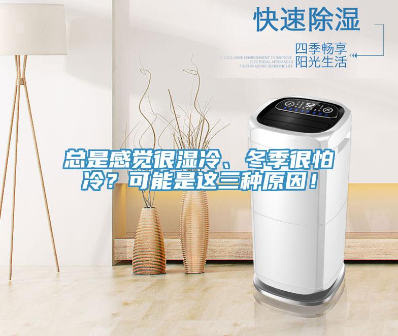 總是感覺很濕冷、冬季很怕冷？可能是這三種原因！