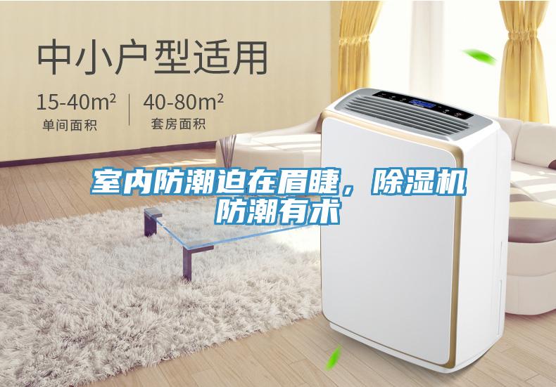 室內(nèi)防潮迫在眉睫，除濕機(jī)防潮有術(shù)
