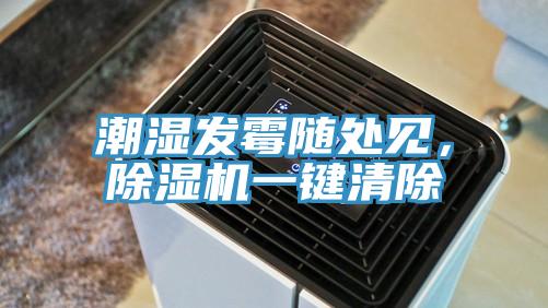潮濕發(fā)霉隨處見，除濕機(jī)一鍵清除