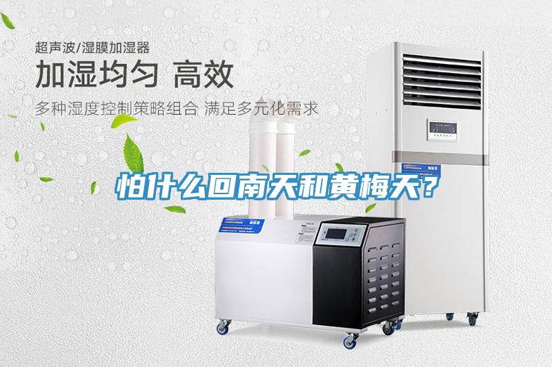 怕什么回南天和黃梅天？