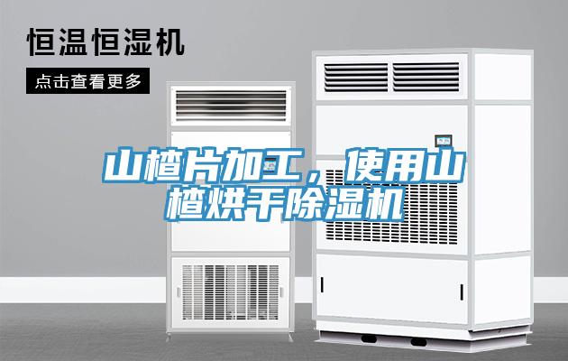 山楂片加工，使用山楂烘干除濕機
