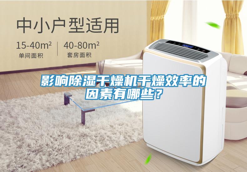 影響除濕干燥機干燥效率的因素有哪些？